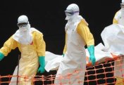 Зараженных Эболой обезьян вылечили с помощью таблетки, что вселяет надежду на человека: исследование
