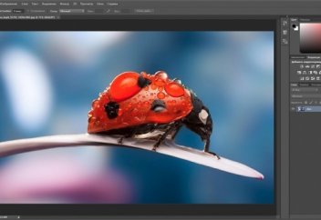 Фотошопты тегін үйренудің 7 жолы