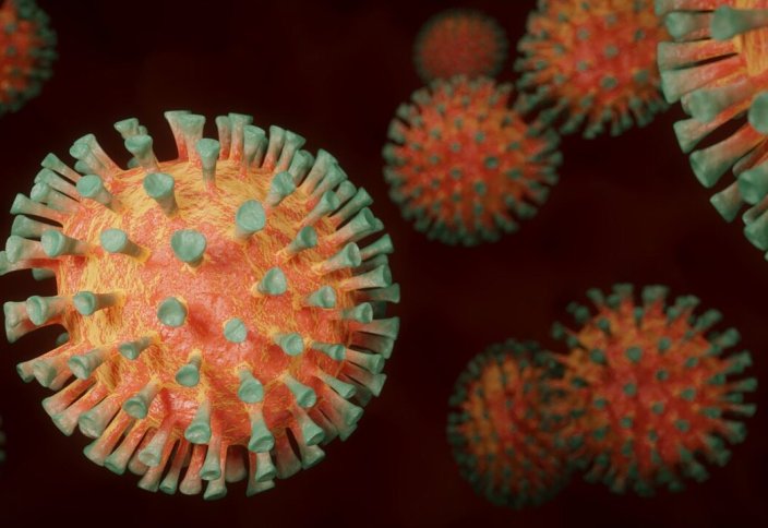 Қолдан өзгертілген вирустар антибиотикке төзімді, қауіпті бактерияны жойды