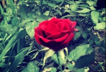 Тағдыр да бір өзі қызық қой...