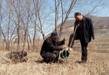 Мүгедек екі дос 10 000-нан астам ағаш отырғызған (фото)