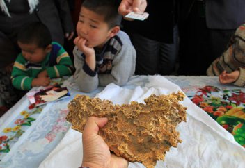 Қытайда тұратын қандасымыз салмағы 8 келіге жуық алтын тауып алды (ФОТО)