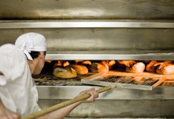 Демалмай жұмыс істегені үшін айыппұл салынды (фото)