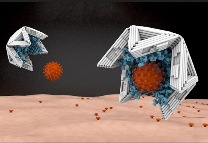 Вирусты аулап, залалсыздандыратын нанокапсула жасалды