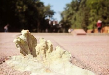 Бойдың биіктеуі – ойдың биіктеуі емес