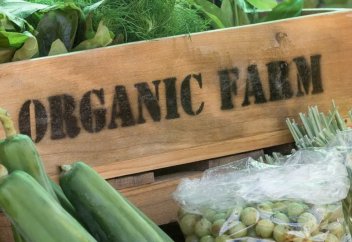 Почему всё органическое продовольствие Казахстана уходит на экспорт