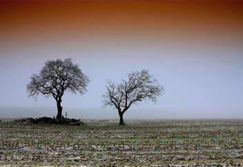 Ғалымдар атеист пен теист арасындағы моралдық құндылықтар айырмашылығын анықтады