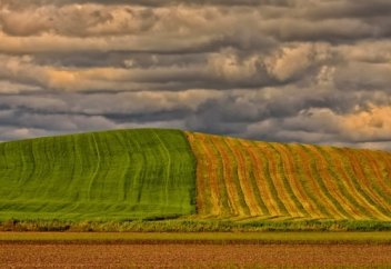 Севооборот идей: между многозадачностью и концентрацией