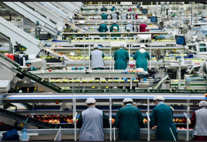 Адамдарды биометриясыз аңдудың әдісі табылды