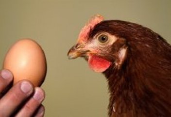 Жұмыртқа мен тауық өндірісінен 7-ші орында тұрған ел