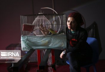 Иранская девушка-Детейлер (фото)