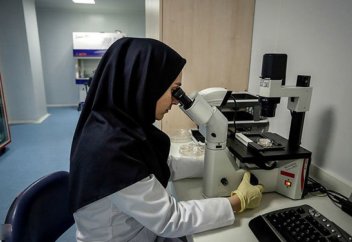 Ирандағы ғылыммен тіклей байланысты компаниялардың 400-ге жуығын әйелдер ашқан