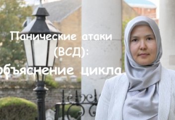 Панические атаки/ВСД: объяснение цикла.