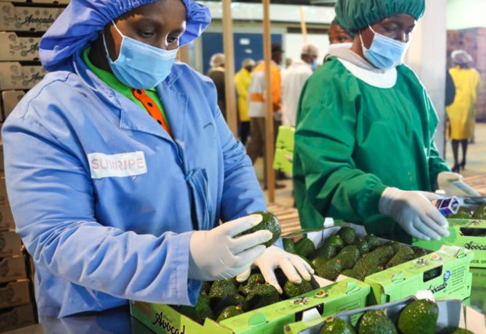 Африка үшін бәсекелестікте Қытай күтпеген жүріс жасады