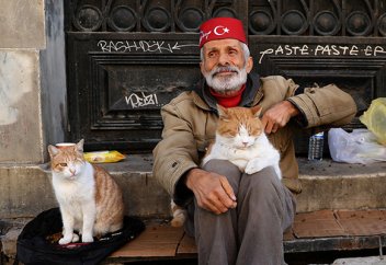 Министр внутренних дел Турции заявил, что закон об отлове бездомных собак будет полностью соблюдаться