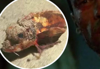 Ғалымдар өрмекшінікіндей екі аяғы бар балықты көріп таңғалды (видео)