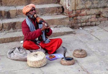 Украденная змея (назидание)