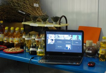 Ученые РК обогатили подсолнечное масло витаминами А и Д