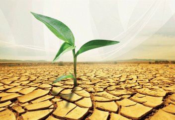 Такафул – страхование по-исламски