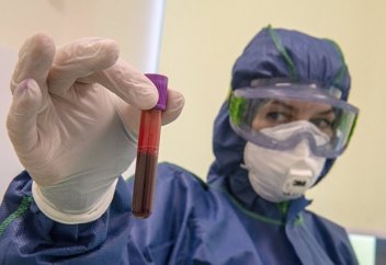 Science (США): хорошая новость об иммунной реакции человека на коронавирус