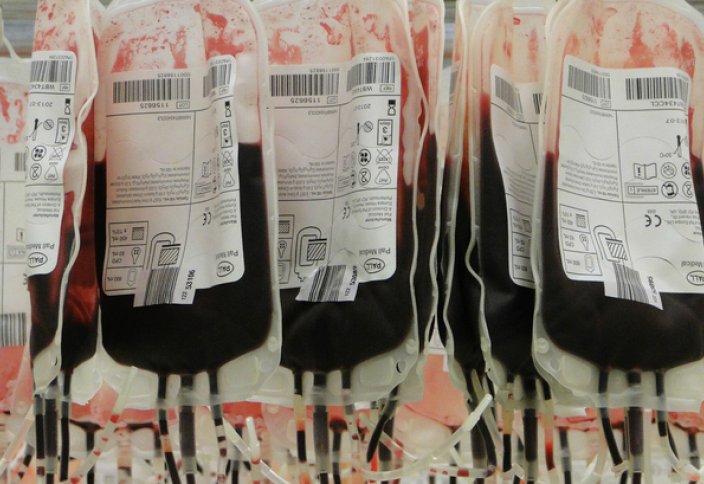Бессмертные стволовые клетки произведут кровь в неограниченных количествах