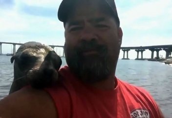 Жануарлар әлемі: Итбалықтың бұл әрекетін қалай түсінуге болады? (Видео)