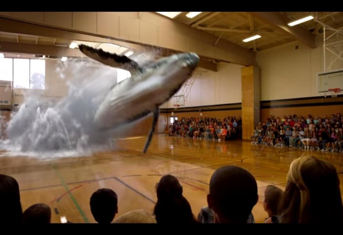 Еденнен кит шығуы мүмкін бе? (Видео)