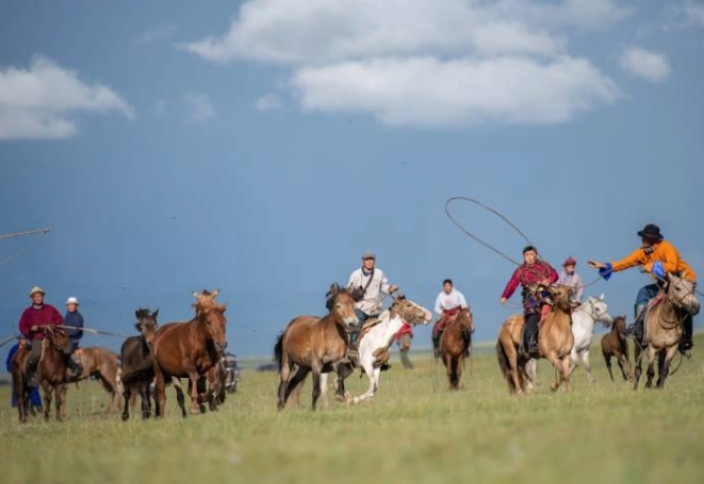 Әлемнің 56 елі Дүниежүзілік жылқы күні туралы қарарды қолдады