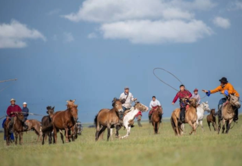 Әлемнің 56 елі Дүниежүзілік жылқы күні туралы қарарды қолдады