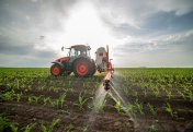 Французы восстают против пестицида, разрешенного для использования в Европейском Союзе