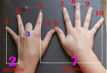 Таблица умножения на пальцах