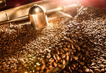 Кофе қалдығын электрге айналдыру тәсілі табылды (видео)