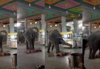 Пұтханадағы кісі өлімімен аяқталған ойран (видео)