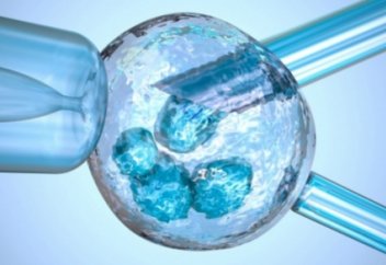 40 жылда жасанды ұрықтандыру арқылы қанша миллион адам дүниеге келген