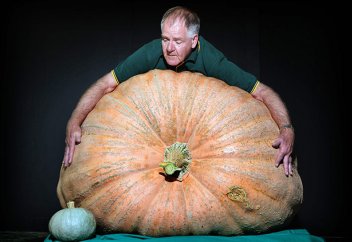 Алып көкөністер