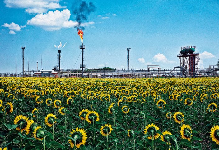 Сколько потеряют нефтяники из-за популярности электромобилей