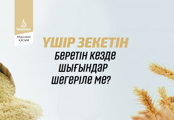 Үшір зекетін беретін кезде шығындар шегеріле ме?