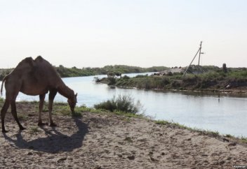 Кыргызстан намерен вернуть компенсацию за обеспечение водой региона?