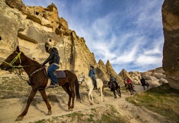 Түркияда 40 мыңдай ғана жылқы қалған