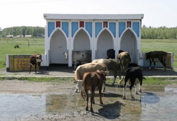 Қазақ даласындағы автобус аялдамалары канадалық фотографтың альбомына енген (фото)