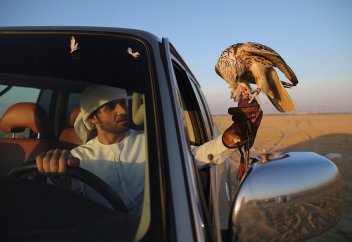 БАӘ-де саятшылық дамудың жаңа даңғылына түсті (фото)