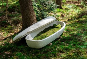 Әлемде алғаш рет биологиялық тұрғыдан ыдырайтын (шіритін) саңырауқұлақтан табыт жасалды