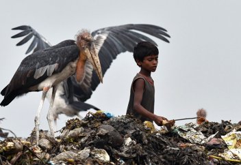 Жануарлар саудасының өзінен олардың қарасы 60%-ға азайып кеткен