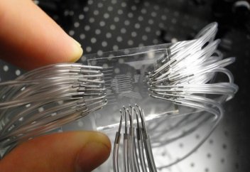 Обырды пайда болған сәтінен бастап анықтайтын наночип