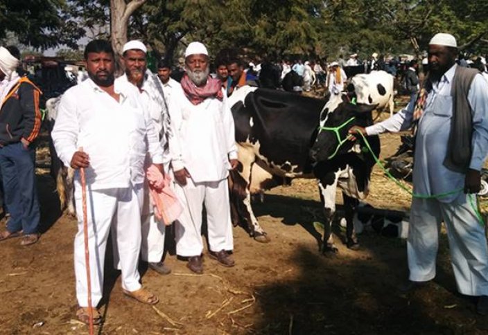 Мусульман преследуют за разведение коров