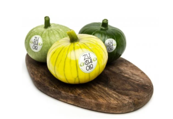 Жеміс-жидек пен көкөніс инновациясы: биыл испандық селекционерлердің өнімі «топ жарды»