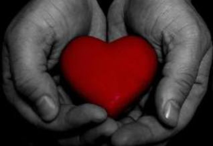 Помощь и сострадание в действии