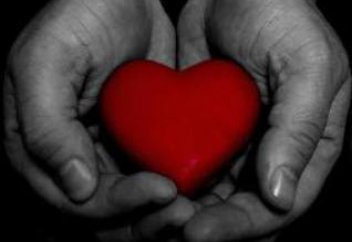 Помощь и сострадание в действии