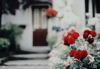 Түсіктен кейінгі қан нифасқа жата ма?