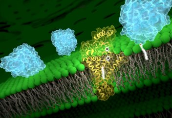 Биологиялық молекулалардың жаңа класы табылды
